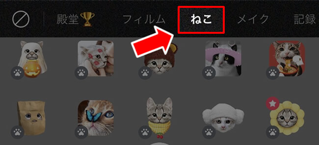 カメラアプリ Snow に猫用認識スタンプ機能が追加 海賊猫ブログ白足のモモ