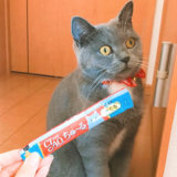 CIAOちゅーる 好き