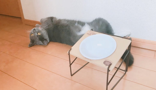 3COINS(スリーコインズ)の猫皿「テーブル付きフードボウル」のレビューと評価！