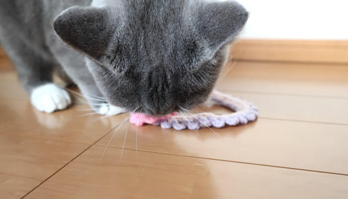 ハンドメイドの毛糸の猫首輪