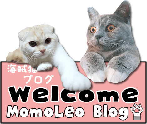 モモレオ猫ブログ