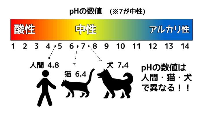 猫・人間・犬のpH数値比較表