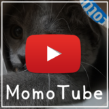 猫のモモ-動画-MomoTube モモチューブ