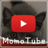 猫のモモ-動画-MomoTube モモチューブ