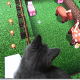 マインクラフトにリアル猫が乱入