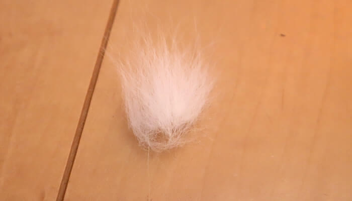 グレー色の猫の白い抜け毛の塊