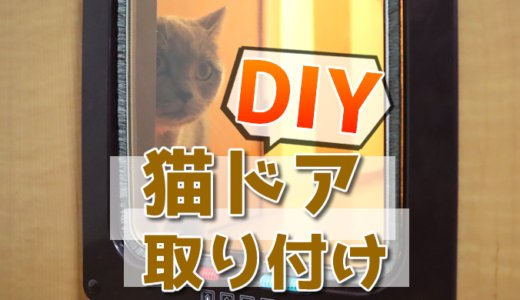 【DIY】猫ドア取り付け方！簡単に付けられるキャットドアを写真多めで徹底解説