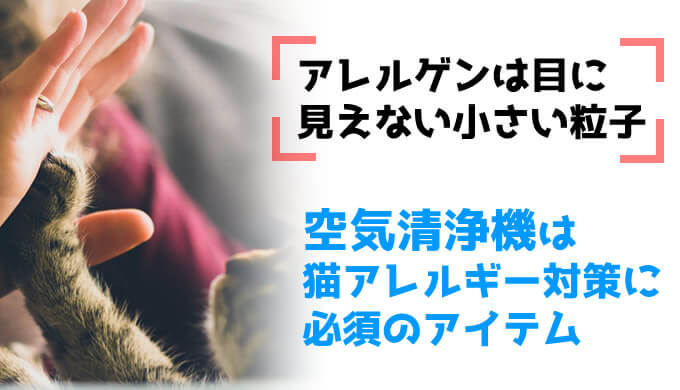 実録】猫アレルギーの人がおすすめする空気清浄機シャープ KC-H50 