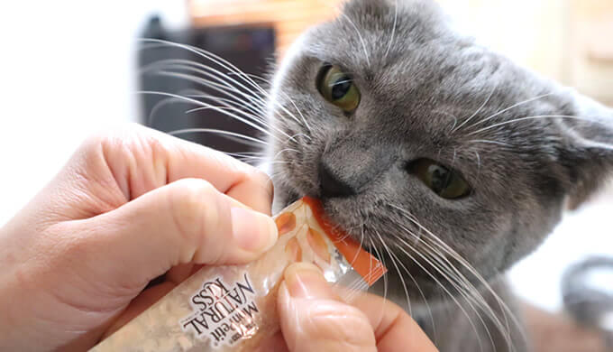 モンプチナチュラルキッスを食べる猫のモモ