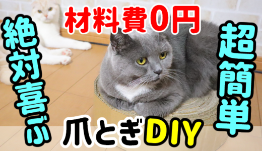 【DIY】猫の「丸型ダンボール爪とぎ」を材料費0円で超簡単手作り