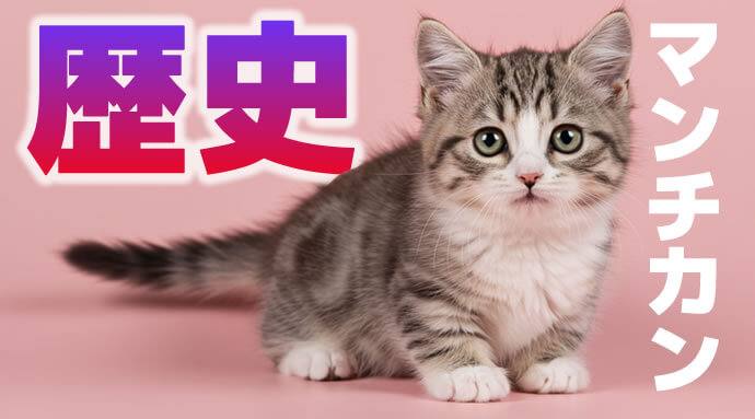 マンチカンの歴史