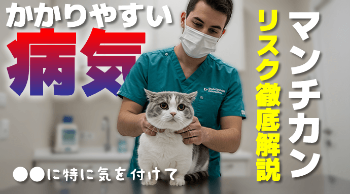 マンチカン猫の病気リスク徹底解説