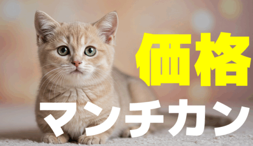 マンチカン猫の価格